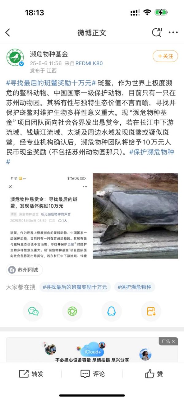 恒财网配资 世界上真只剩两只公的“神兽”？国内一民间公益组织十万元悬赏寻找斑鳖 团队负责人回应